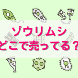ゾウリムシどこで売ってる