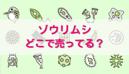ゾウリムシはどこで売ってる？ホームセンターやペットショップで入手可能！通販のおすすめや値段などを紹介